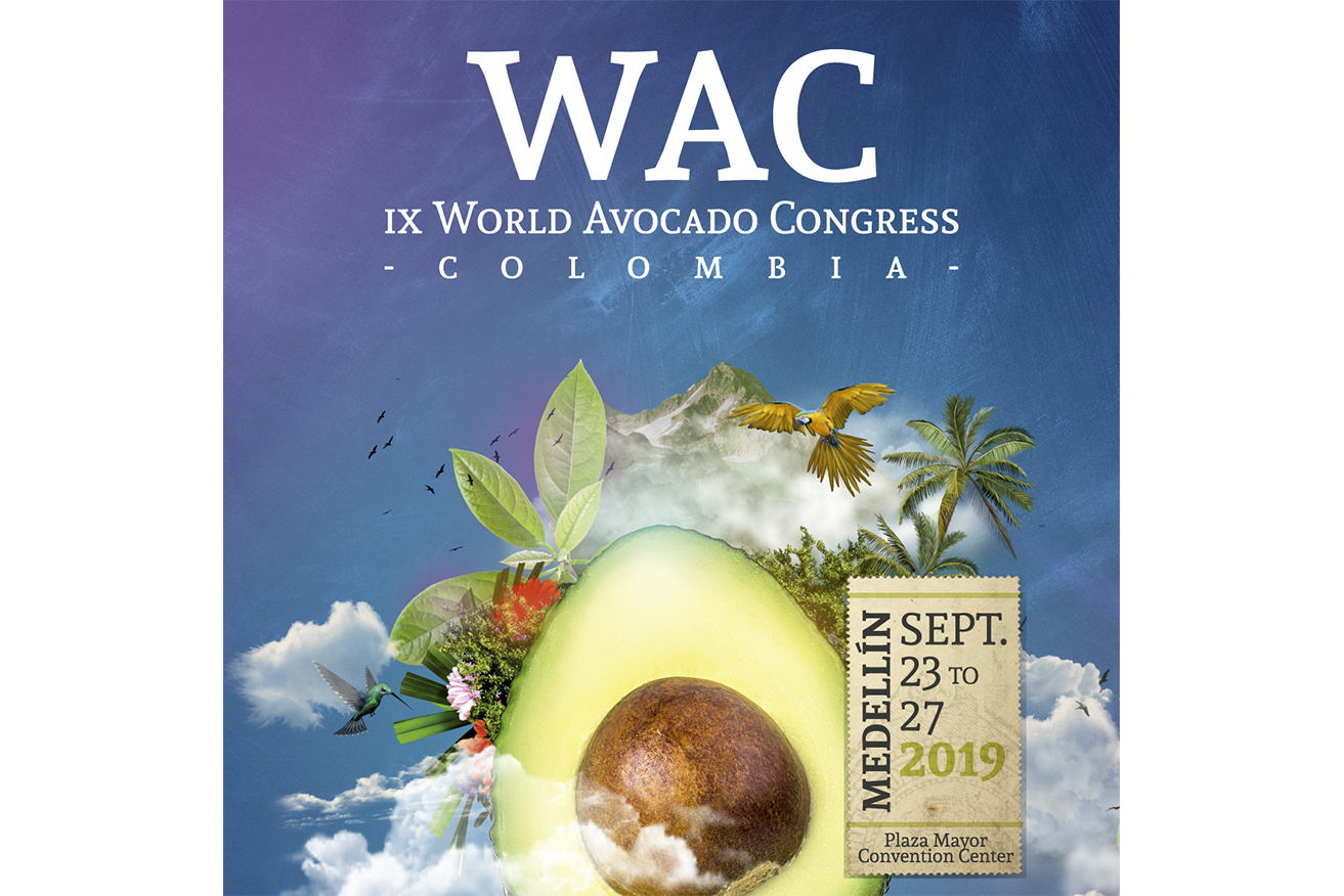 Visit With Us the World Avocado Congress in Medellín, Columbia