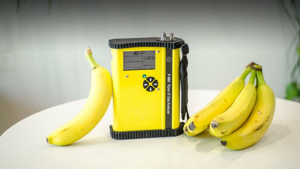 F-960 Gas Analyzer