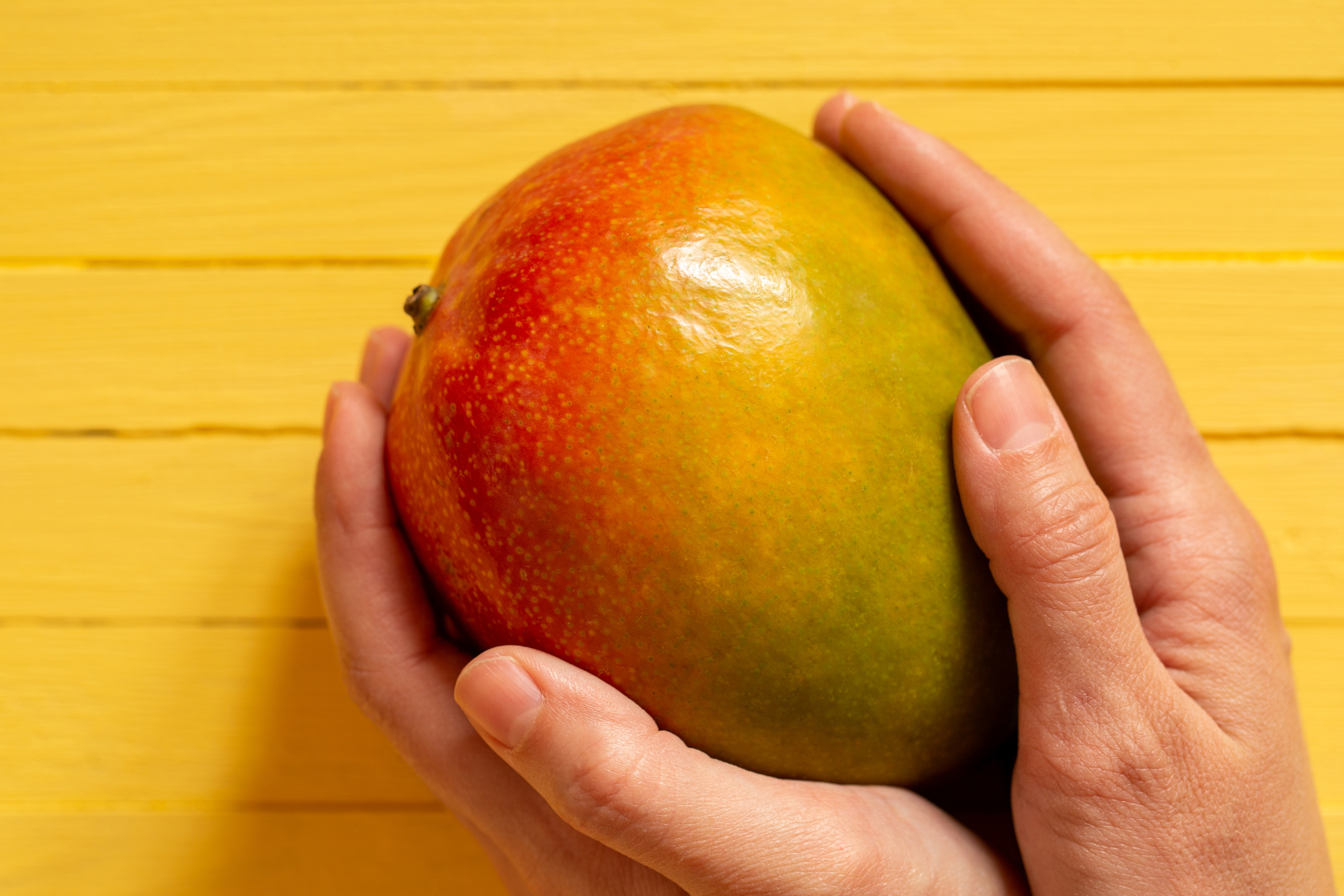 Know Your Produce Commodity  Mango Market & Industry Summary