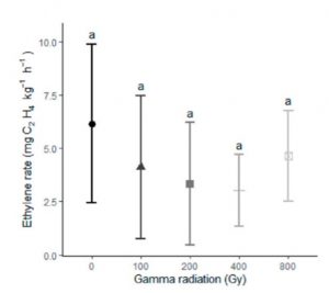 graph of the relationship between ethylene rate and gamma radiation