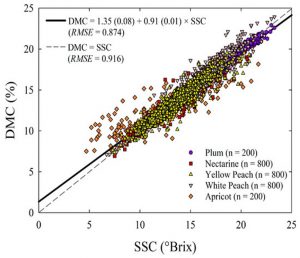  Scatter plot and linear regression best-fit model of fruit dry matter concentration against soluble solids concentration for the pooled dataset of apricot, plum, nectarine, white and yellow peach cultivars at harvest shows that DM and SSC are highly correlated in stone fruits 