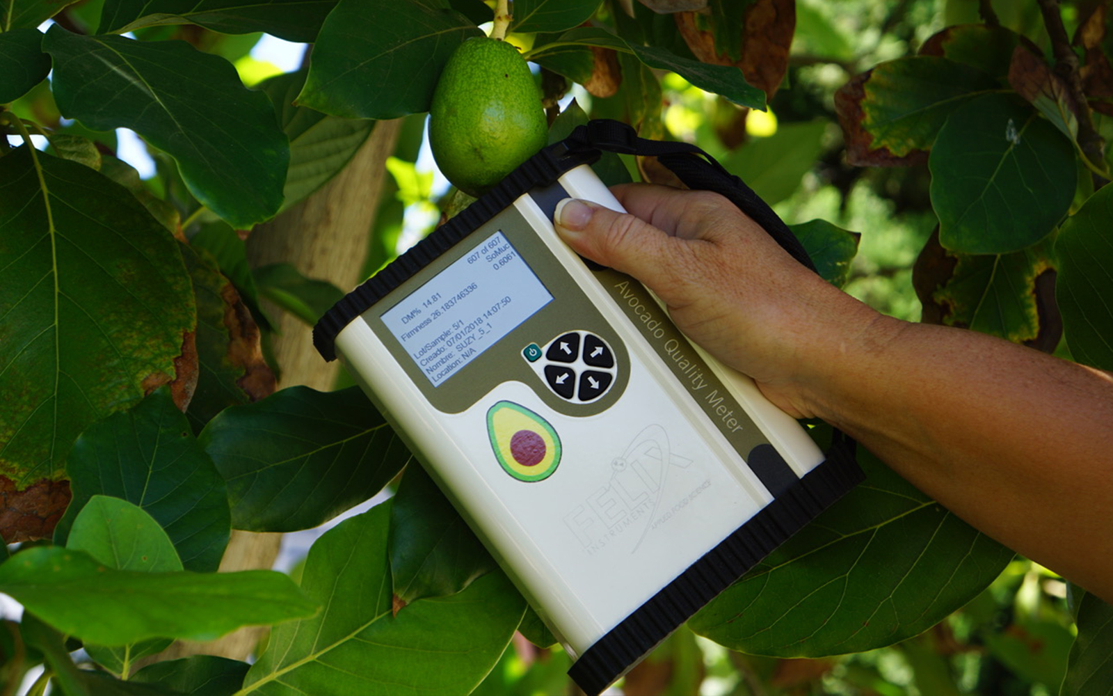 F-751 Avocado Quality Meter