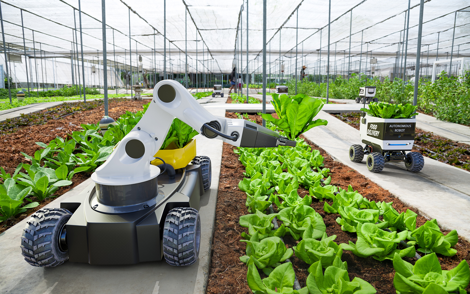 the-ultimate-agtech-glossary-100-key-terms-to-know-felix-instruments