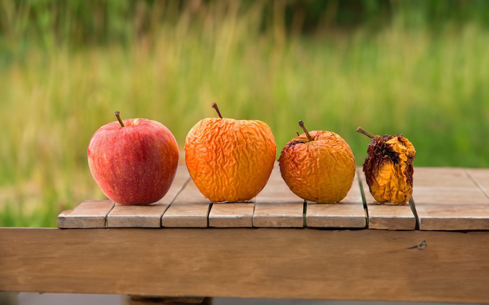 Scale as Your Operation Grows