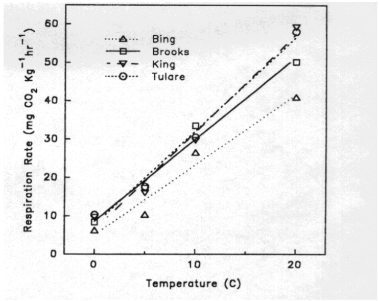 Graph of Respiration rate and temperature