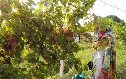 How the F-750 Supports Commercial Operations