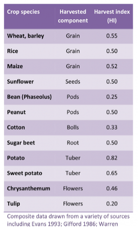 Harvest index vs harvest maturity index
