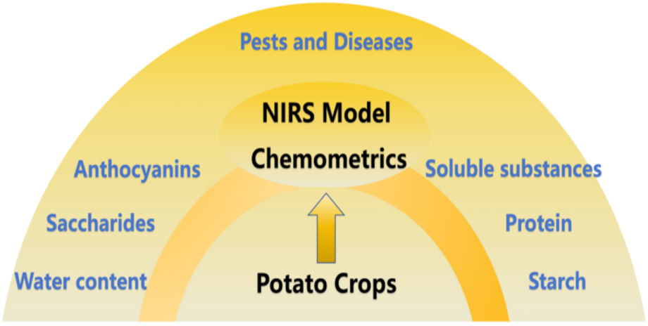 NIR Spectroscopy for Root Crops
