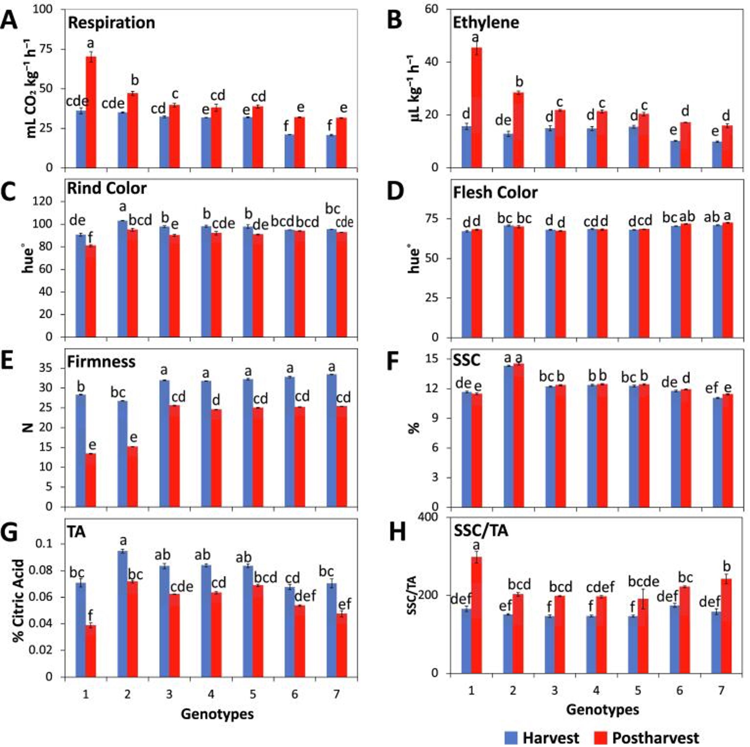 melon harvest maturity indices