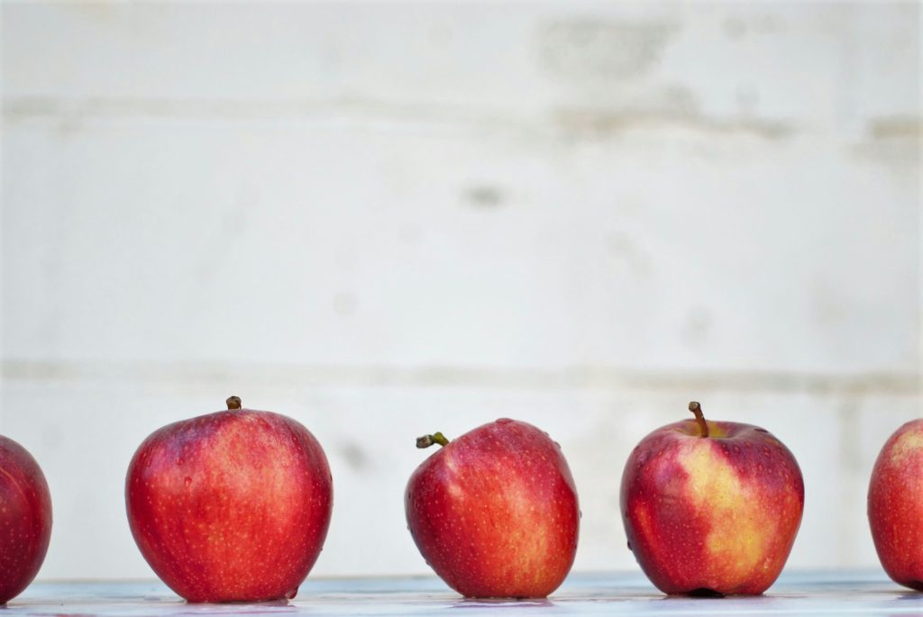 Measuring Oxygen and Carbon Dioxide in Apple Storage Rooms