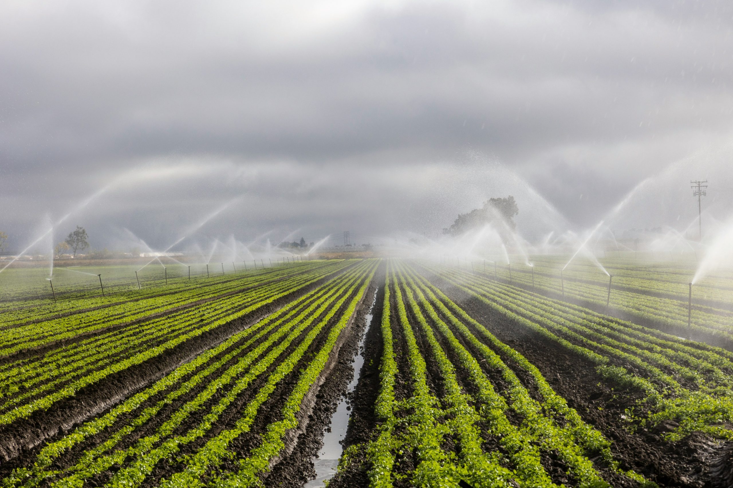 6 Ways to Extend Instrument Life in Harsh Environments