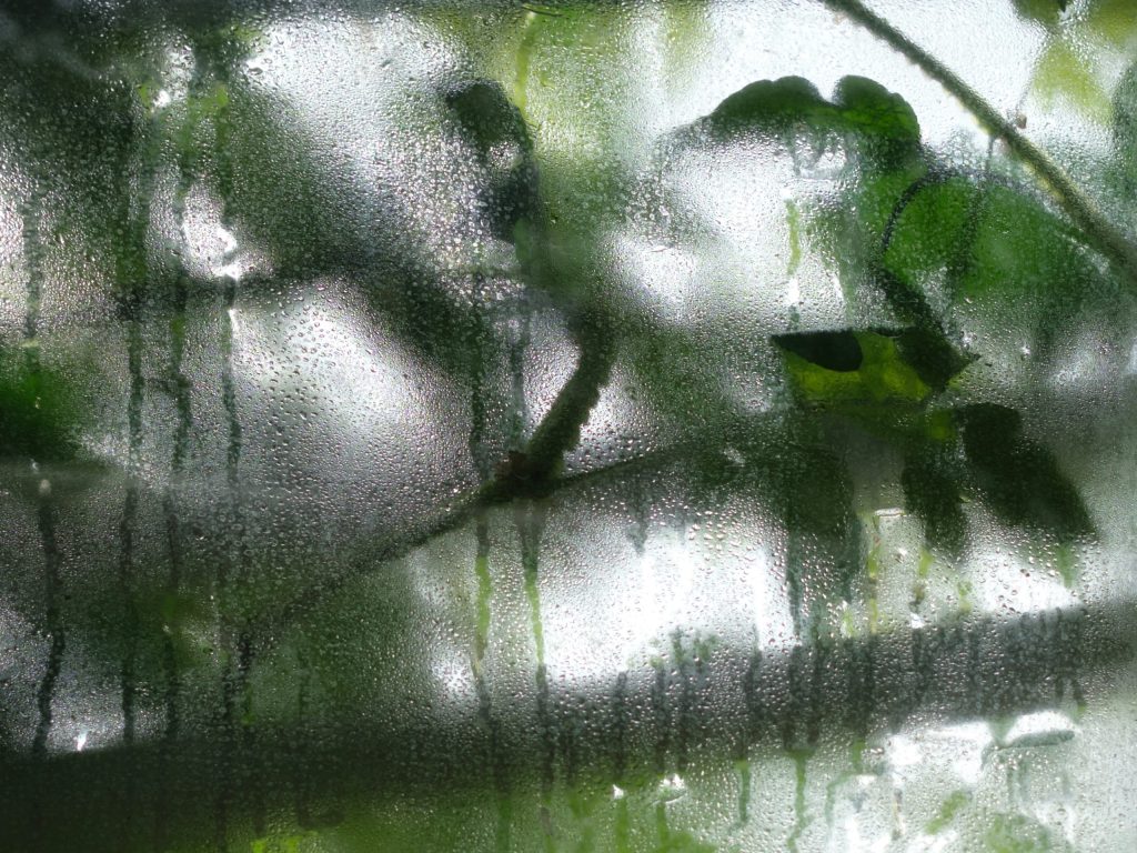 High humidity, condensation, or direct water exposure can damage sensors