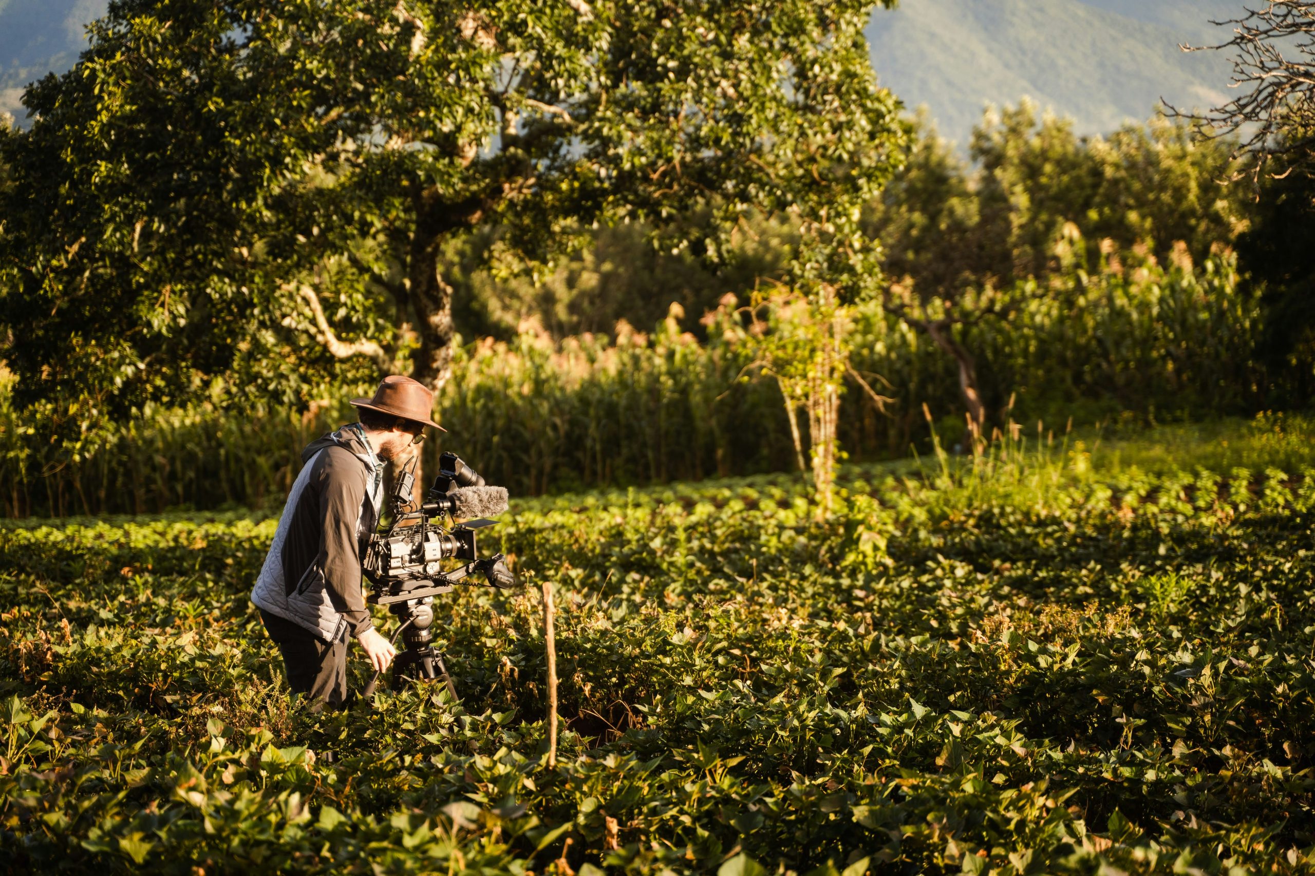 7 Best Practices for Collecting NIR Data in the Field