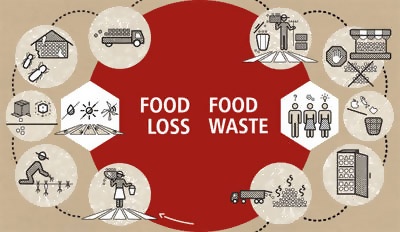 food loss vs food waste