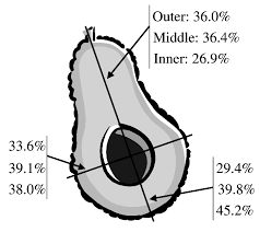 dry matter distribution in avocados