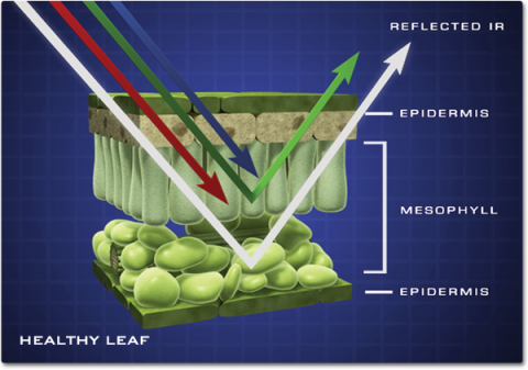 how nir works