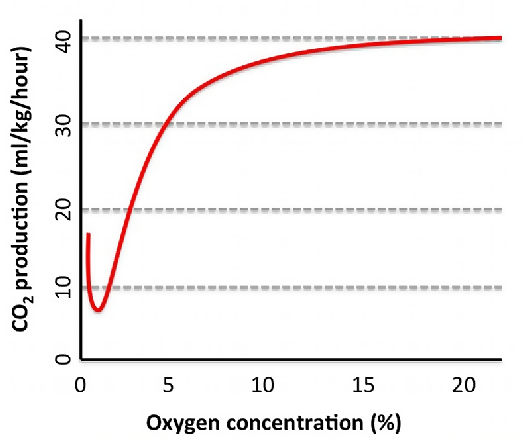 oxygen concentrations and plant respiration